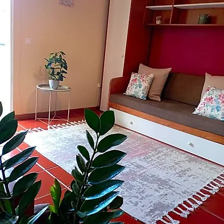 Village Sun House - Porto Moniz