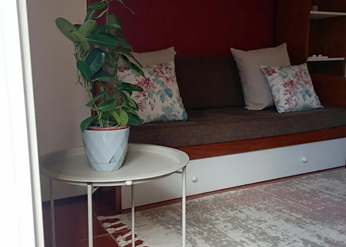 Village Sun House - *